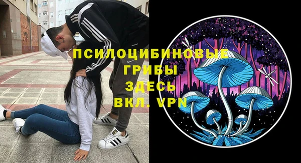 кокс Баксан