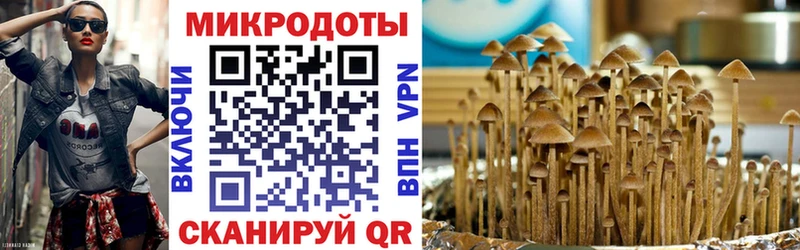 ОМГ ОМГ зеркало  Красноперекопск  Галлюциногенные грибы мицелий 